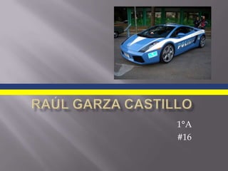 Raúl Garza Castillo 1°A #16 