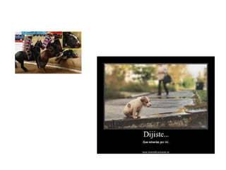 Presentación ensayo