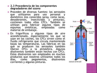  2.3 Procedencia de los componentes
degradadores del ozono
 Proceden de diversas fuentes: los aerosoles
que utilizamos para uso personal y
doméstico (los conocidos spray, como lacas,
desodorantes, insecticidas y pinturas),
contienen todos ellos CFCs. También se
utilizan para fabricar algunos tipos de
espumas sintéticas, empleadas como
material de embalaje.
 En frigoríficos y algunos tipos de aire
acondicionado, especialmente los que se
usan en los coches, los CFCs sirven como el
fluido refrigerante que circula manteniendo
bajas las temperaturas. Las fábricas en las
que se producen los aerosoles también
liberan CFCs a la atmósfera. Algunos
disolventes también están hechos con CFCs.
Estos disolventes son empleados en muchos
productos que nosotros utilizamos todos los
días, como pegamentos, disolventes
corrientes y algunas pinturas.
 