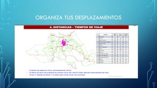 ORGANIZA TUS DESPLAZAMIENTOS
 