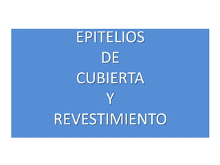 EPITELIOS
DE
CUBIERTA
Y
REVESTIMIENTO
 