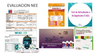EVALUACION NEE
 