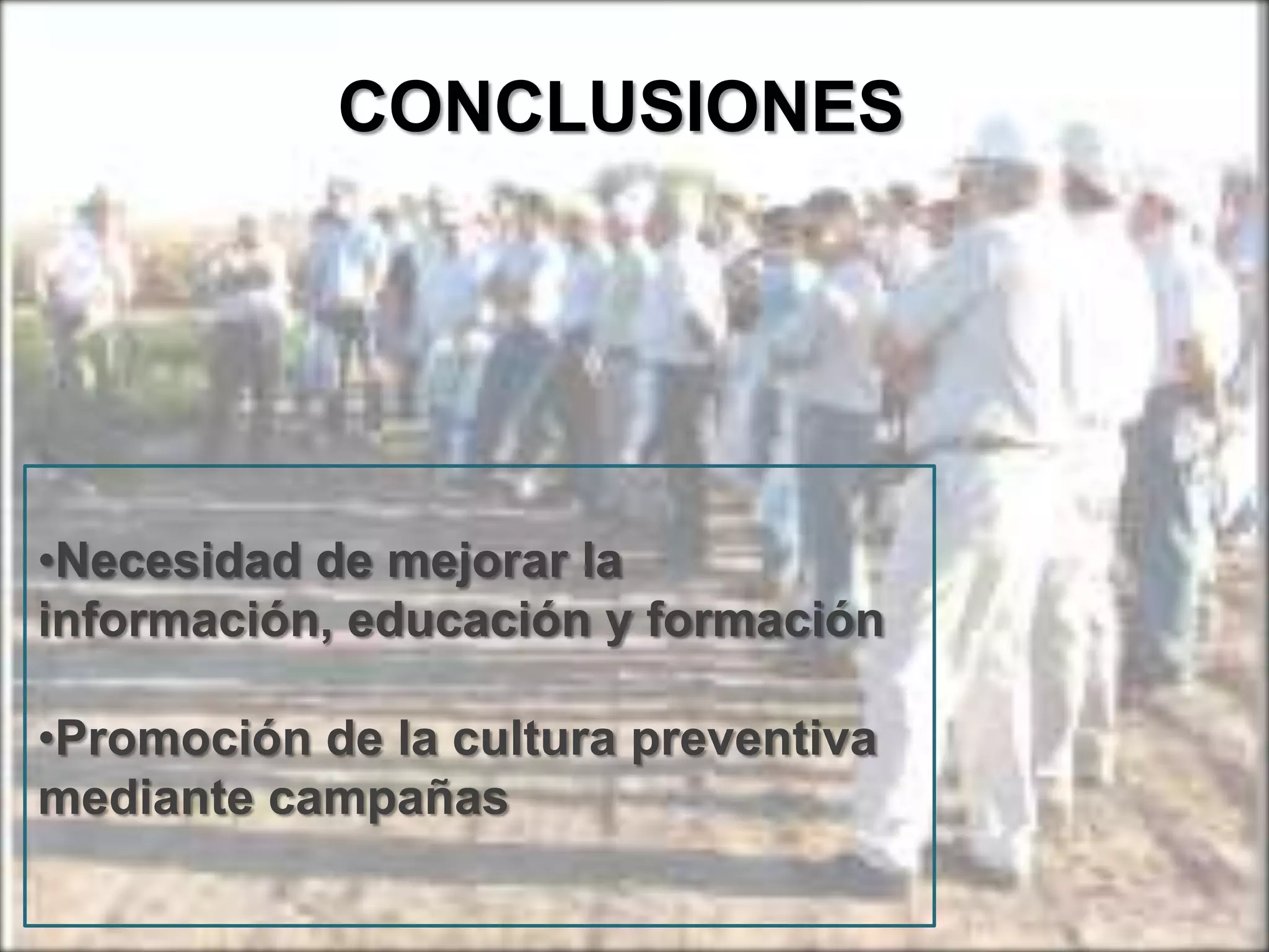 CONCLUSIONES

•Necesidad de mejorar la
información, educación y formación
•Promoción de la cultura preventiva
mediante campañas

 