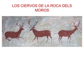 LOS CIERVOS DE LA ROCA DELS
          MOROS
 