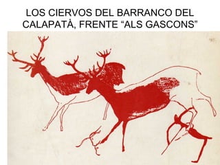 LOS CIERVOS DEL BARRANCO DEL
CALAPATÀ, FRENTE “ALS GASCONS”
 