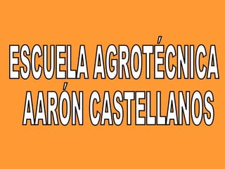 ESCUELA AGROTÉCNICA AARÓN CASTELLANOS 
