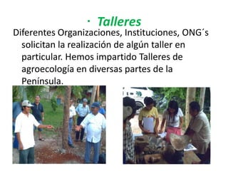 · Talleres
Diferentes Organizaciones, Instituciones, ONG´s
solicitan la realización de algún taller en
particular. Hemos impartido Talleres de
agroecología en diversas partes de la
Península.
 