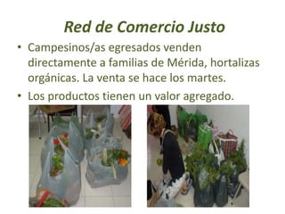 Red de Comercio Justo
• Campesinos/as egresados venden
directamente a familias de Mérida, hortalizas
orgánicas. La venta se hace los martes.
• Los productos tienen un valor agregado.
 