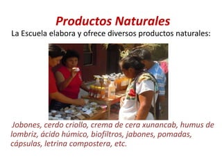 Productos Naturales
La Escuela elabora y ofrece diversos productos naturales:
Jobones, cerdo criollo, crema de cera xunancab, humus de
lombriz, ácido húmico, biofiltros, jabones, pomadas,
cápsulas, letrina compostera, etc.
 