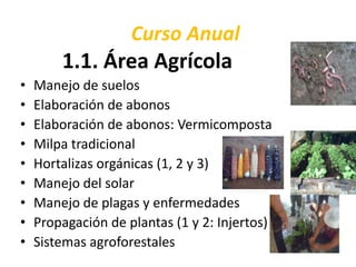 Curso Anual
1.1. Área Agrícola
• Manejo de suelos
• Elaboración de abonos
• Elaboración de abonos: Vermicomposta
• Milpa tradicional
• Hortalizas orgánicas (1, 2 y 3)
• Manejo del solar
• Manejo de plagas y enfermedades
• Propagación de plantas (1 y 2: Injertos)
• Sistemas agroforestales
 