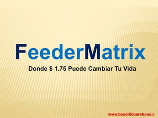 FeederMatrix
Donde $ 1.75 Puede Cambiar Tu Vida
www.baudiliobarahona.c
 