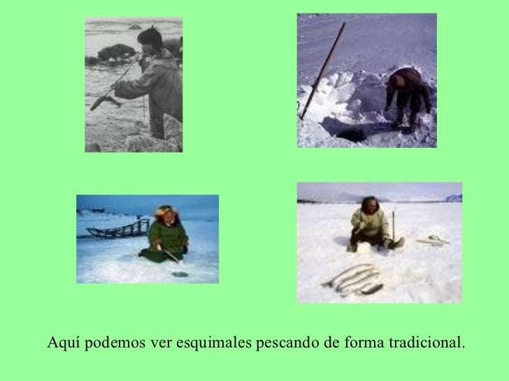 Presentación esquimales