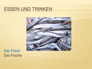 ESSEN UND TRINKEN




Der Fisch
Die Fische
 