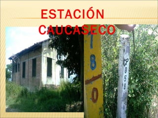 ESTACIÓN  CAUCASECO 