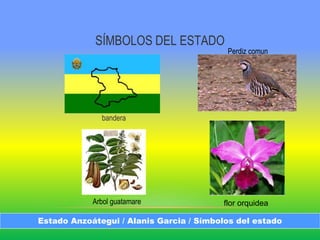 SÍMBOLOS DEL ESTADO
Estado Anzoátegui / Alanis Garcia / Símbolos del estado
bandera
Perdiz comun
Arbol guatamare flor orquidea
 