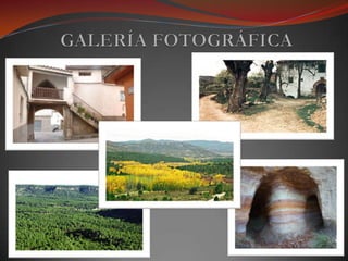 GALERÍA FOTOGRÁFICA
