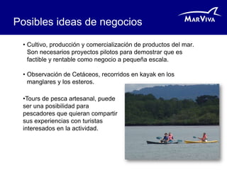 Posibles ideas de negocios

 • Cultivo, producción y comercialización de productos del mar.
   Son necesarios proyectos pilotos para demostrar que es
   factible y rentable como negocio a pequeña escala.

 • Observación de Cetáceos, recorridos en kayak en los
   manglares y los esteros.

 •Tours de pesca artesanal, puede
 ser una posibilidad para
 pescadores que quieran compartir
 sus experiencias con turistas
 interesados en la actividad.
 