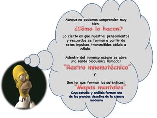 Aunque no podamos comprender muy
               bien


Lo cierto es que nuestros pensamientos
  y recuerdos se forman a partir de
  estos impulsos transmitidos célula a
           célula.

 Adentro del inmenso océano se abre
   una senda bioquímica llamada:


                   y…

  Son los que forman los auténticos:

    Cuyo estudio y análisis forman uno
   de los grandes desafíos de la ciencia
                 moderna
 