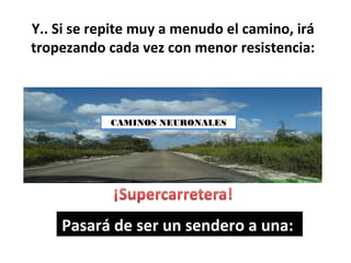 Y.. Si se repite muy a menudo el camino, irá
tropezando cada vez con menor resistencia:



            CAMINOS NEURONALES




    Pasará de ser un sendero a una:
 
