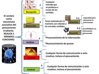 Cualquier
                             1       entrada que
                                     se produzca a
                                     través de los
                 Recepción           sentidos
  El cerebro
                                                                    2.1     Capacidad para
     como                                                                   almacenar la
 mecanismo                   2       Tarea realizada por la   Retentiva     información
asociativo del                       memoria con relación a
                 Retención           las entradas recibidas
pensamiento                                                          2.2   Accesibilidad a la
 irradiante.                                                               información
  REALIZA 5                                                   Recuerdo     almacenada
  GRANDES                            *Procesamiento de la información
FUNCIONES                    3
                 Análisis
                                     *Reconocimiento de pautas


                             4
                                     Cualquier forma de comunicación o acto
                                     creativo, incluso el pensamiento
                  Emisión


                                 5     Cualquier forma de comunicación o acto
                  Control              creativo, incluso el pensamiento
 