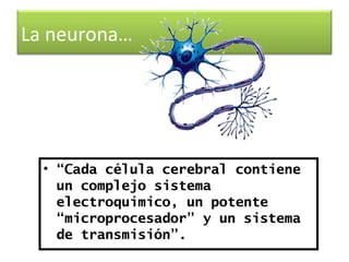 La neurona…




  • “Cada célula cerebral contiene
    un complejo sistema
    electroquímico, un potente
    “microprocesador” y un sistema
    de transmisión”.
 