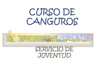 CURSO DE
CANGUROS
SERVICIO DE
JUVENTUD

 