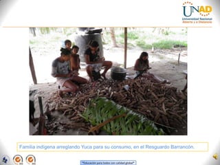 Familia indígena arreglando Yuca para su consumo, en el Resguardo Barrancón. <br />