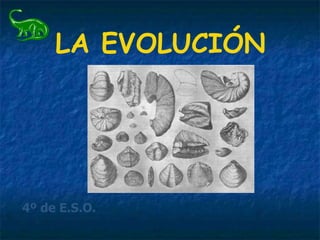 LA EVOLUCIÓN
4º de E.S.O.
 