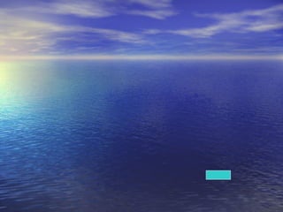 Presentación excorto