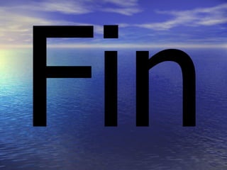 Fin