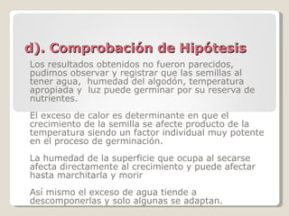d). Comprobación de Hipótesis Los resultados obtenidos no fueron parecidos, pudimos observar y registrar que las semillas al tener agua,  humedad del algodón, temperatura apropiada y  luz puede germinar por su reserva de nutrientes. El exceso de calor es determinante en que el crecimiento de la semilla se afecte producto de la temperatura siendo un factor individual muy potente en el proceso de germinación. La humedad de la superficie que ocupa al secarse afecta directamente al crecimiento y puede afectar hasta marchitarla y morir Así mismo el exceso de agua tiende a descomponerlas y solo algunas se adaptan. 