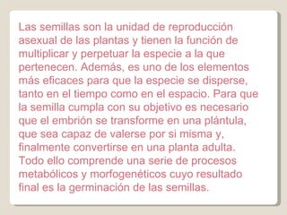 Las semillas son la unidad de reproducción asexual de las plantas y tienen la función de multiplicar y perpetuar la especie a la que pertenecen. Además, es uno de los elementos más eficaces para que la especie se disperse, tanto en el tiempo como en el espacio. Para que la semilla cumpla con su objetivo es necesario que el embrión se transforme en una plántula, que sea capaz de valerse por si misma y, finalmente convertirse en una planta adulta. Todo ello comprende una serie de procesos metabólicos y morfogenéticos cuyo resultado final es la germinación de las semillas.  