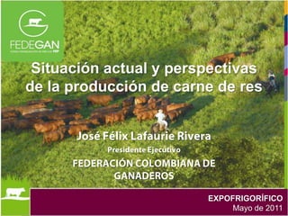 Situación actual y perspectivas de la producción de carne de res José Félix Lafaurie Rivera Presidente Ejecutivo FEDERACIÓN COLOMBIANA DE GANADEROS EXPOFRIGORÍFICO Mayo de 2011 