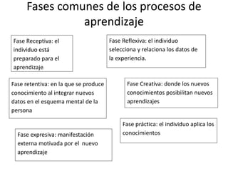 Fases comunes de los procesos de
aprendizaje
Fase Receptiva: el
individuo está
preparado para el
aprendizaje.
Fase Reflexiva: el individuo
selecciona y relaciona los datos de
la experiencia.
Fase retentiva: en la que se produce
conocimiento al integrar nuevos
datos en el esquema mental de la
persona
Fase Creativa: donde los nuevos
conocimientos posibilitan nuevos
aprendizajes
Fase expresiva: manifestación
externa motivada por el nuevo
aprendizaje
Fase práctica: el individuo aplica los
conocimientos
 