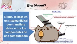 Bus (Canal)
El Bus, se basa en
un sistema digital
que transfiere
datos entre los
componentes de
una computadora
 