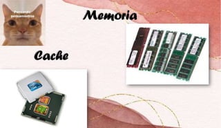 Memoria
Cache
 
