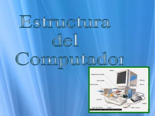 Estructura  del Computador 