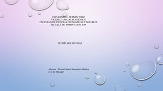 UNIVERSIDAD FERMÍN TORO 
VICERECTORADO ACADÉMICO 
FACULTAD DE CIENCIAS ECONOMICAS Y SOCIALES 
ESCUELA DE ADMINISTRACION 
TEORÍA DEL SISTEMA 
Alumna : María Fabiola González Medina 
C.I: 21.728.402 
 