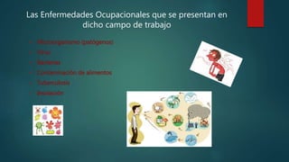 Las Enfermedades Ocupacionales que se presentan en
dicho campo de trabajo
 Microorganismo (patógenos)
 Virus
 Bacterias
 Contaminación de alimentos
 Tuberculosis
 Insolación
 