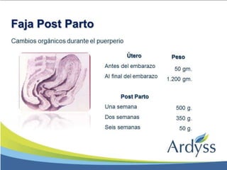 Presentación Faja Postparto