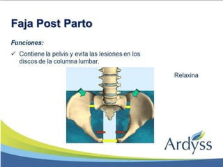 Presentación Faja Postparto