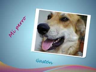 Presentaciónfamilia