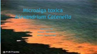 Asignatura: FAN
Profesor: Pablo Muñoz
Alumno: Raiza Carvajal
Microalga toxica
Alexandrium Catenella
 