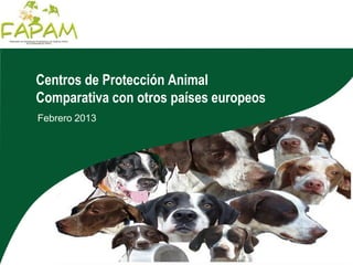 Centros de Protección Animal
Comparativa con otros países europeos
Febrero 2013
 