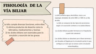 La bilis cumple diversas funciones, entre ellas:
1) elimina productos de desecho como la
bilirrubina, medicamentos y toxinas
2) los ácidos biliares son esenciales para la
emulsión y resorción de las grasas
FISIOLOGÍA DE LA
VÍA BILIAR
La bilis contiene agua, electrólitos, moco y se
segregan alrededor de entre 600 a 1 500 mL al día
de bilis.
La bilis se compone de dos tipos de secreciones:
según si la secreción contiene o no ácidos biliares
.
Los ácidos biliares pueden formarse en el hepatocito
a partir del colesterol.
Los ácidos biliares se absorben por el íleon terminal y
son llevados al hígado por la circulación portal, lo que
configura un ciclo que se conoce como circulación
enterohepática.
 
