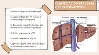 CLASIFICACIÓN FRANCESA
(OCHO SEGMENTOS)
Permite su mejor acceso quirúrgico
Los segmentos II, III y IV: forman el
conducto hepático izquierdo
El derecho se encuentra formado por
dos conductos: anterior y posterior
Anterior: segmentos V y VIII
Posterior: segmentos VI y VII.
Segmento I drena tanto en el conducto
izquierdo como en el derecho
 