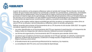 A partir de lo anterior, se les propone reflexionar sobre el sentido del Consejo Técnico Escolar. Se trata de
analizar de qué manera este espacio ha contribuido a atender las características, condiciones, necesidades
e intereses de los adolescentes; cómo ha favorecido la mejora continua de las prácticas docentes para
promover el máximo logro de los aprendizajes, el desarrollo del pensamiento crítico y el fortalecimiento de
los vínculos con la comunidad; y en qué medida ha promovido el aprendizaje de sus integrantes mediante
el intercambio de experiencias, conocimientos, saberes y acuerdos construidos colectivamente.
Para ello, se les sugiere realizar alguna actividad que permita recuperar sus experiencias sobre cómo se
vive el CTE en su escuela o servicio educativo y reflexionar sobre su sentido y propósitos.
Definan acuerdos para orientar el funcionamiento de su CTE durante el ciclo escolar 2026-2027. Se sugiere
considerar aspectos como los siguientes:
• Los retos identificados en el funcionamiento del CTE que requieren la participación y el compromiso de
todas y todos los integrantes del colectivo docente mediante acciones compartidas.
• Las formas de organización y funcionamiento del CTE necesarias para atender dichos retos.
• Los temas que consideran prioritarios para abordar en el CTE (por ejemplo: el codiseño, la planeación
didáctica, el desarrollo de proyectos, la atención al rezago escolar, el seguimiento a su Proceso de
Mejora Continua, entre otros).
• El fortalecimiento de la autonomía profesional de las maestras y los maestros.
• La consolidación del CTE como una Comunidad de Aprendizaje.
 