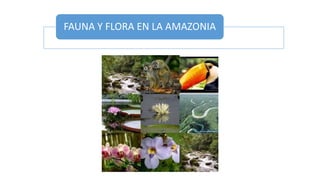 FAUNA Y FLORA EN LA AMAZONIA
 