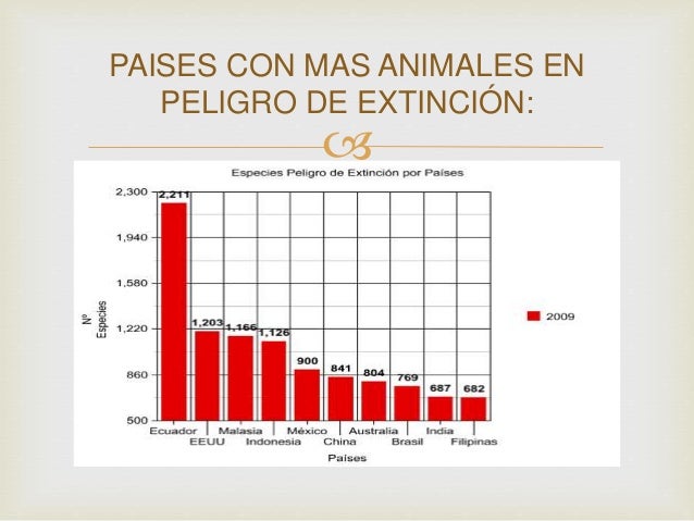 Presentación1 animales en peligro de extincion.
