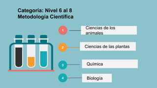 Categoría: Nivel 6 al 8
Metodología Científica
2
3
Ciencias de los
animales
Ciencias de las plantas
Química
Biología
1
4
 